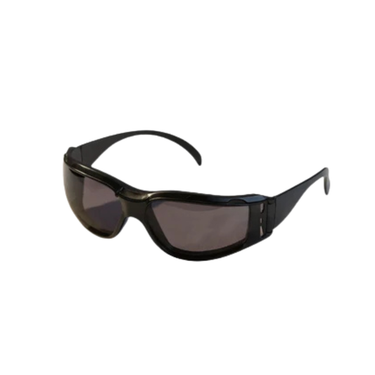 Dentec CeeTec DX CSA Safety Glasses with Anti-Fog Lens